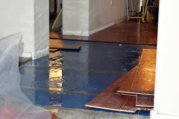 Professional Flood Damage Repair technician working in Barry, TX